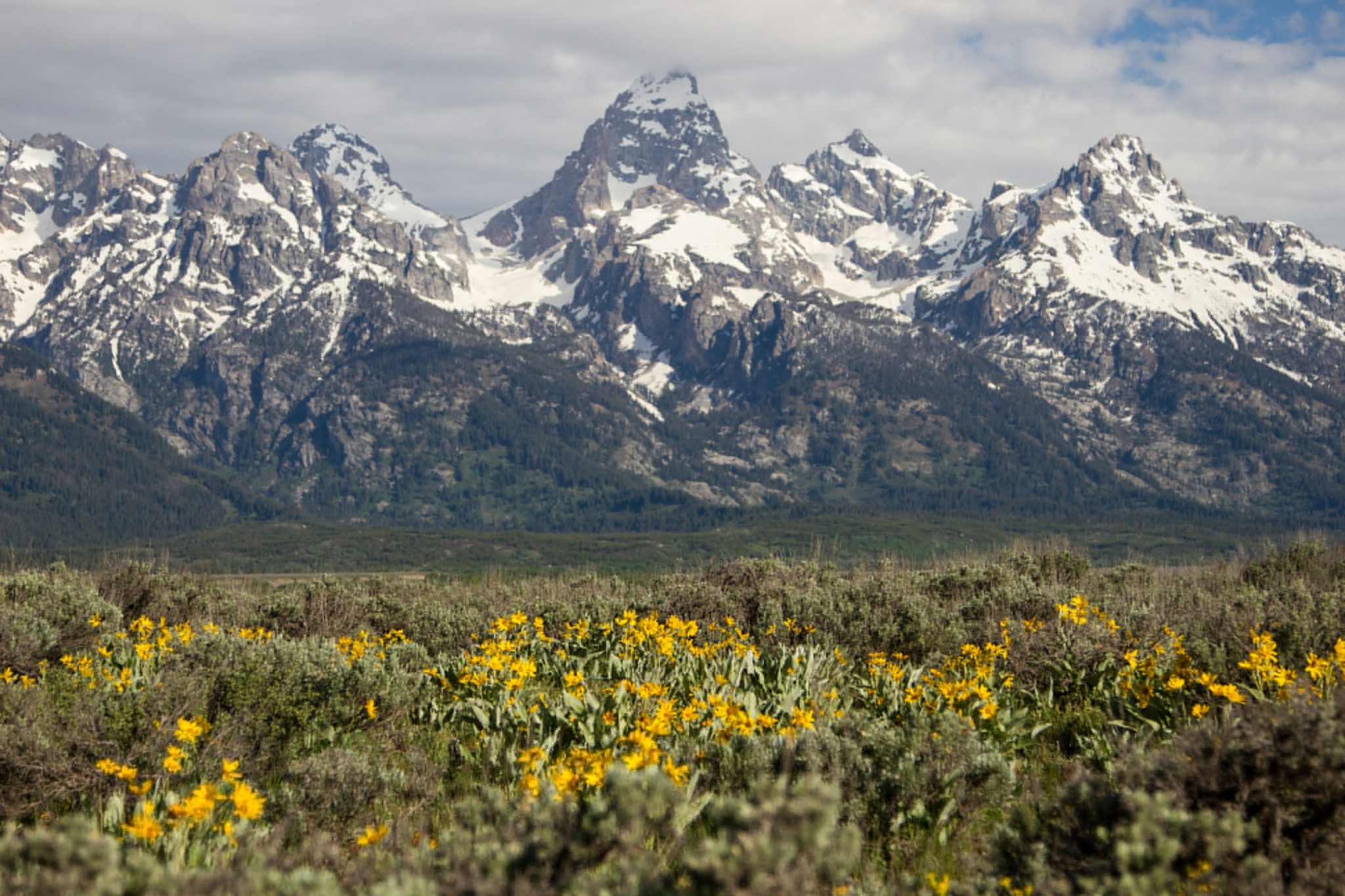 America’s Great Outdoors